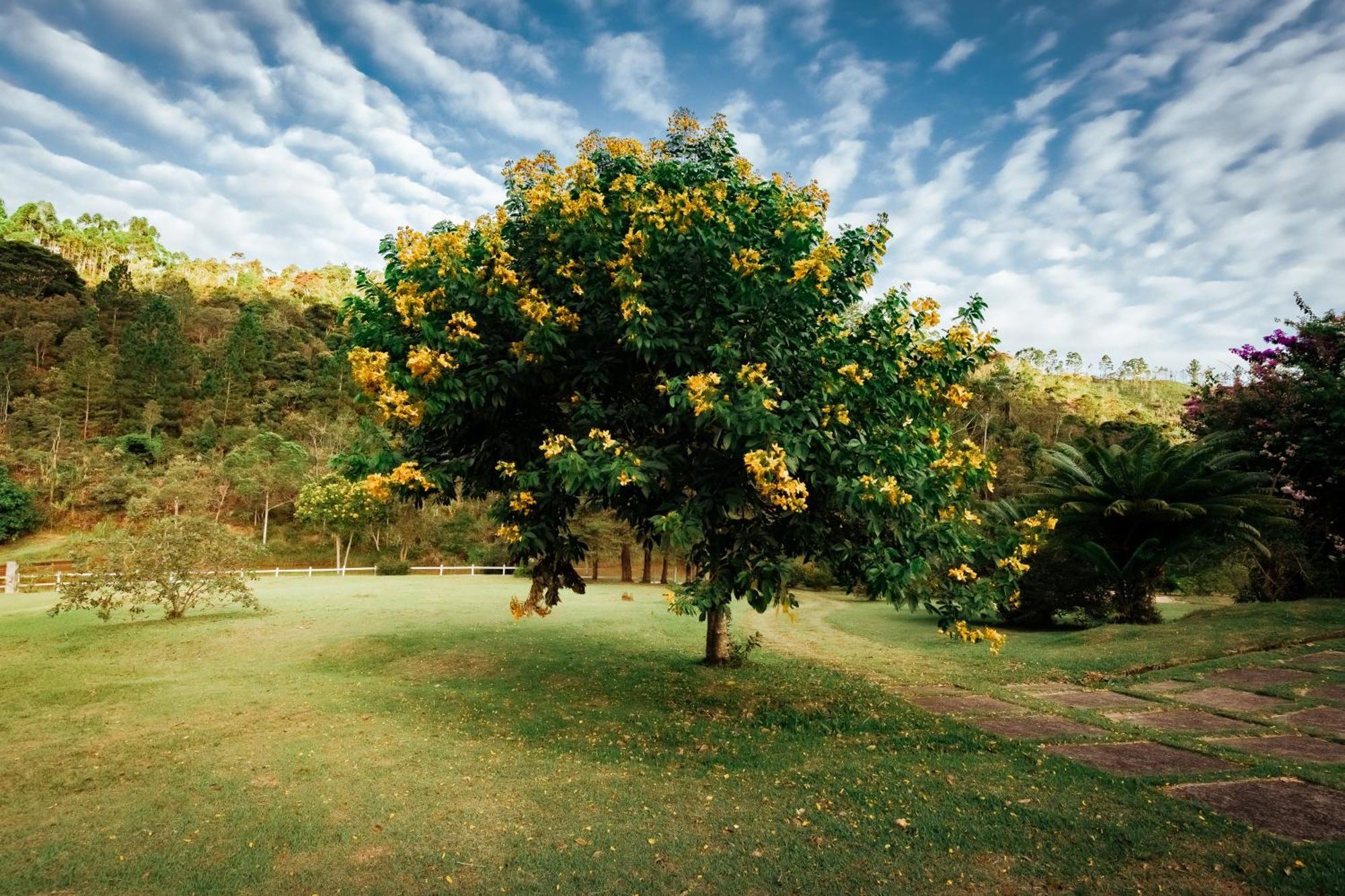 Sitio D Ouro Villa Marechal Floriano Luaran gambar